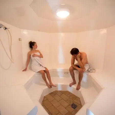 Terrassenhaus Waldläufer Im Harz Mit Schwimmbad Hohegeiß