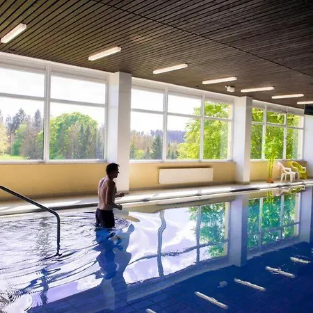 Terrassenhaus Waldlaeufer Im Harz Mit Schwimmbad * Hohegeiss