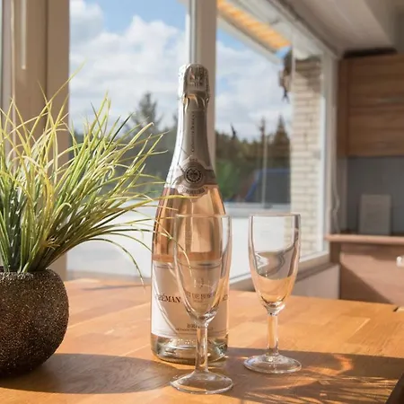 Terrassenhaus Waldlaeufer Im Harz Mit Schwimmbad Apartment Hohegeiss