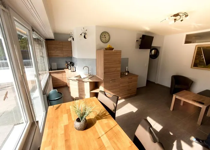 公寓 Terrassenhaus Waldlaeufer Im Harz Mit Schwimmbad Hohegeiß
