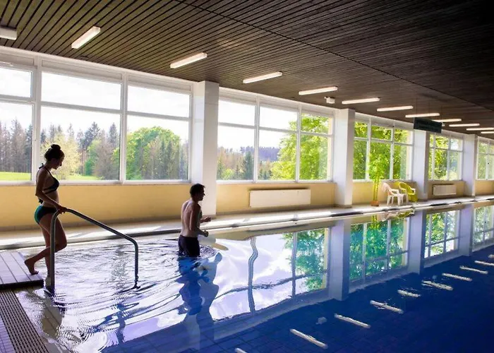 Terrassenhaus Waldlaeufer Im Harz Mit Schwimmbad * Hohegeiß