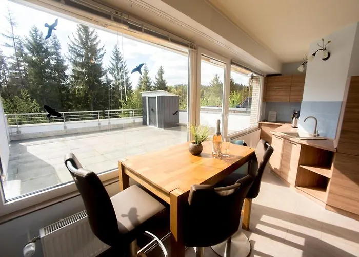 Terrassenhaus Waldlaeufer Im Harz Mit Schwimmbad 公寓 *
