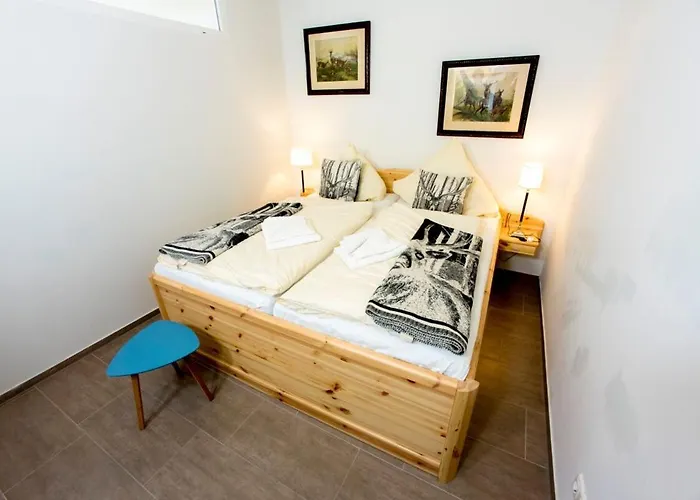 公寓 Terrassenhaus Waldlaeufer Im Harz Mit Schwimmbad Hohegeiß