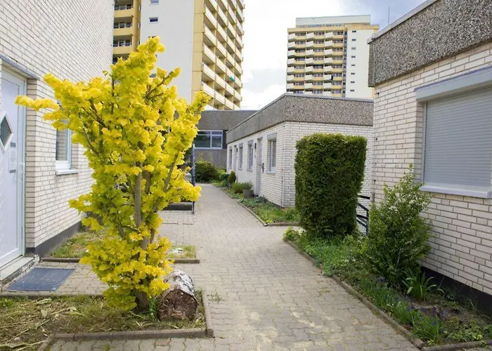 公寓 Terrassenhaus Waldlaeufer Im Harz Mit Schwimmbad *