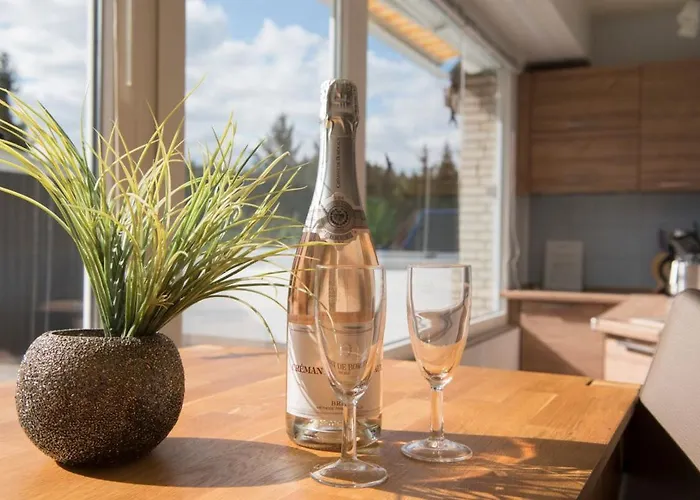 Terrassenhaus Waldlaeufer Im Harz Mit Schwimmbad 公寓 Hohegeiß